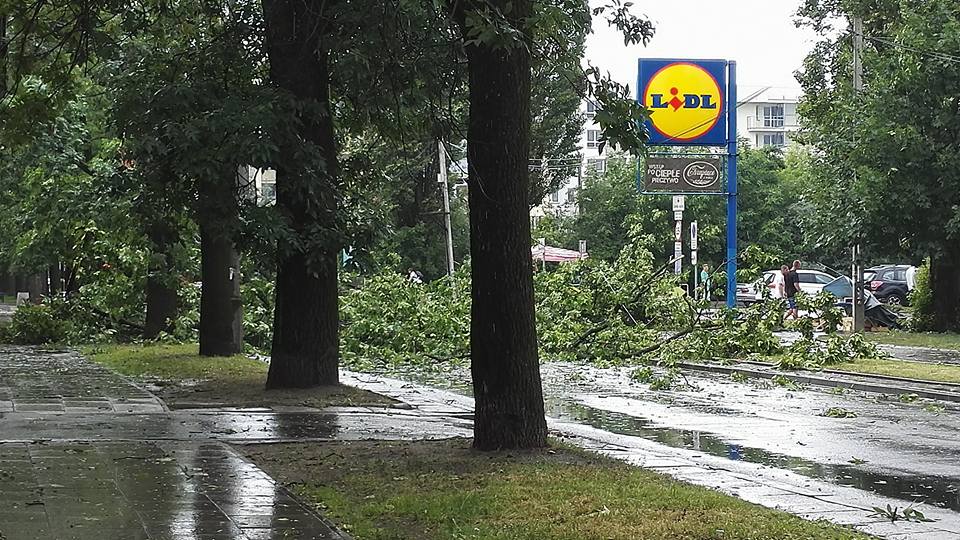 Fot. Rafał olkowski/ Borzymowska, Targówek. Policja na miejscu, straż usuwa drzewo z jezdni. Oba pasy zablokowane.