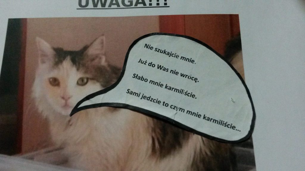 Jak Napisać Ogłoszenie O Zaginięciu Kota Dała ogłoszenie o zaginięciu kota. Następnego dnia ktoś dokleił