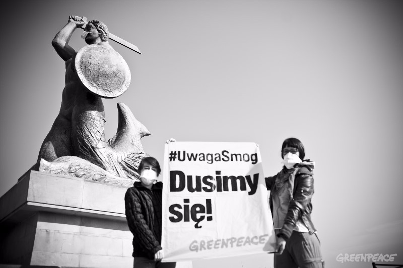 Fot. Greenpeace