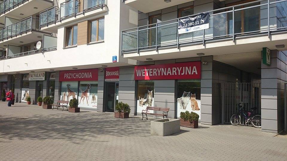 11185470_989005834444422_355351573_n