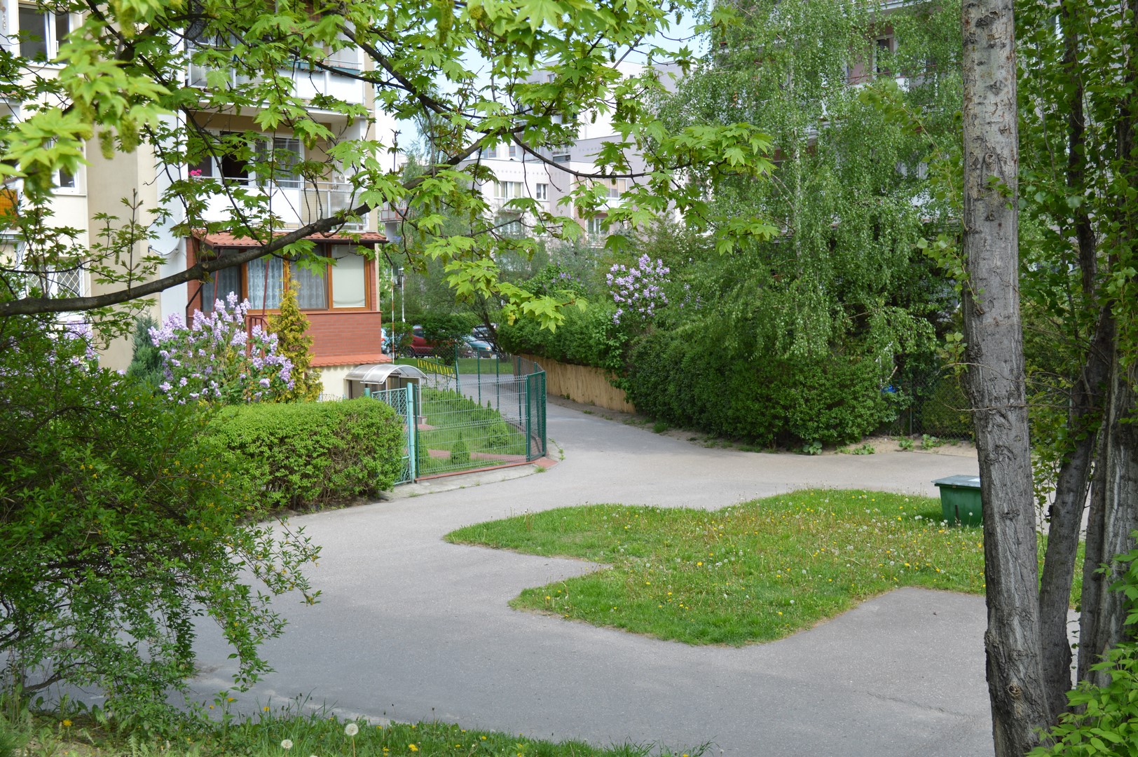 Ogródek Świnki Lilly. To tutaj do kontenera będzie można wkładać dary dla zwierząt z Palucha