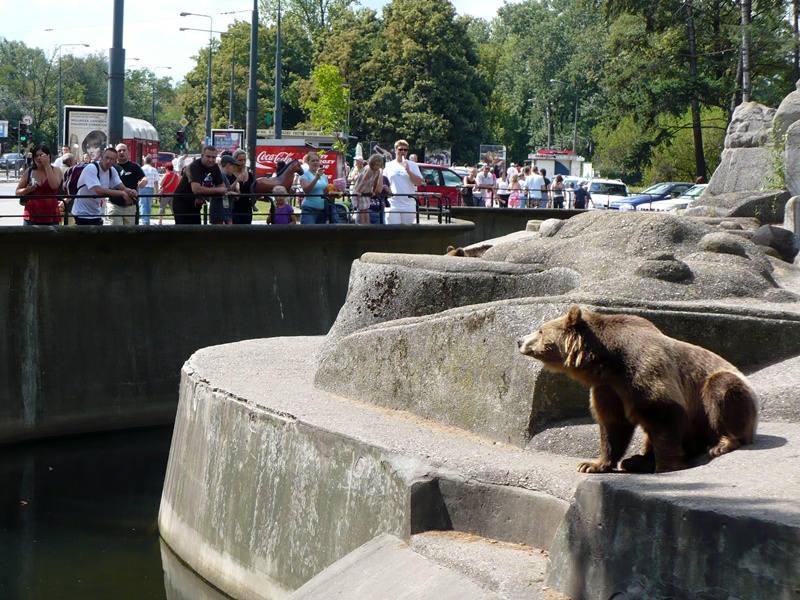 Wybieg dla niedźwiedzi. Fot. warszawa.wikia.com
