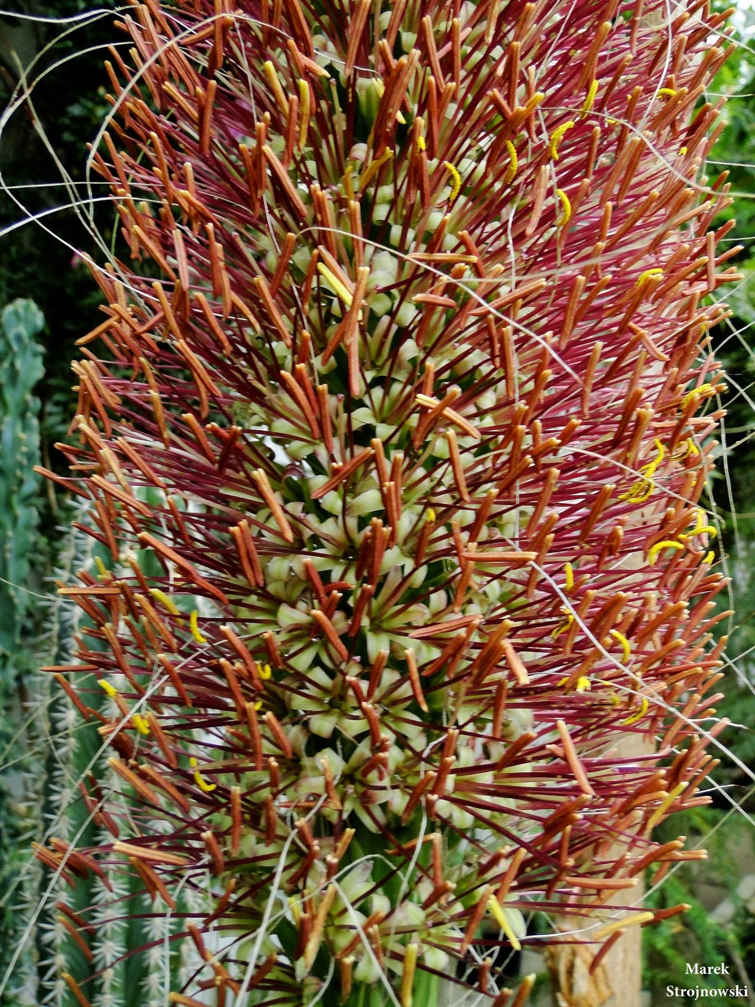 11238264_1658303144390731_463762975423351485_o