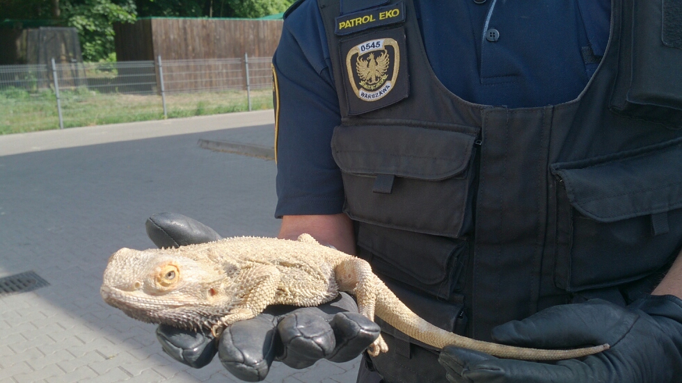 Fot. insp. Jarosław Kozłowski - Referat ds. Ekologicznych
