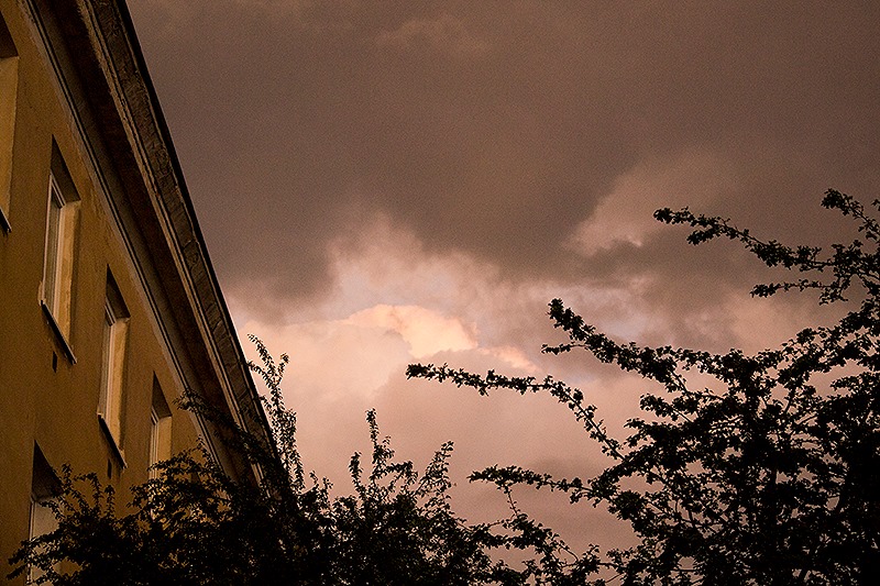 Fot. Dorota Gorczyca-Woźniak