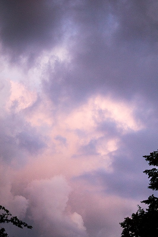 Fot. Dorota Gorczyca-Woźniak