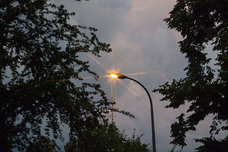 Fot. Dorota Gorczyca-Woźniak