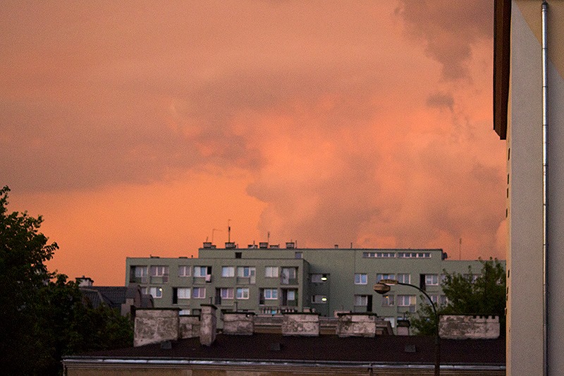 Fot. Dorota Gorczyca-Woźniak