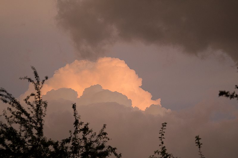 Fot. Dorota Gorczyca-Woźniak