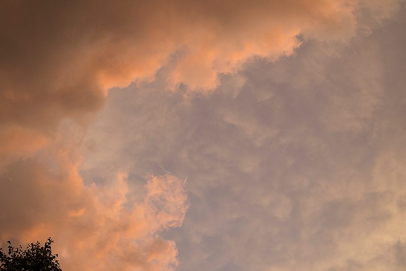 Fot. Dorota Gorczyca-Woźniak