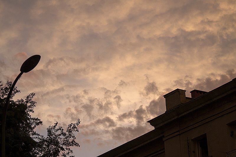 Fot. Dorota Gorczyca-Woźniak