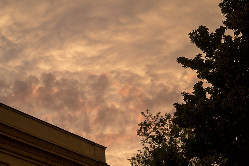 Fot. Dorota Gorczyca-Woźniak