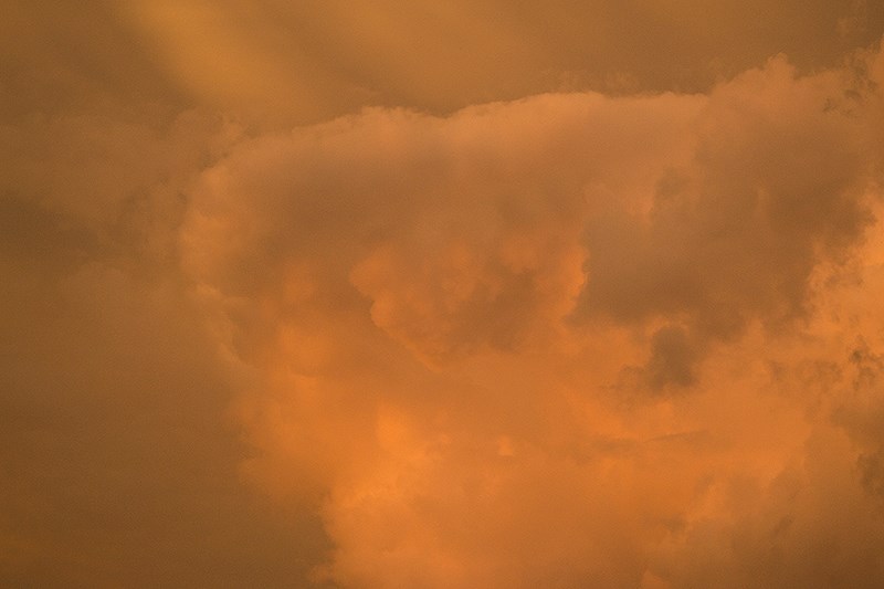 Fot. Dorota Gorczyca-Woźniak