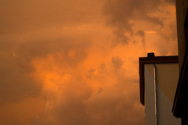 Fot. Dorota Gorczyca-Woźniak