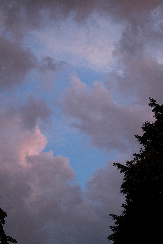 Fot. Dorota Gorczyca-Woźniak