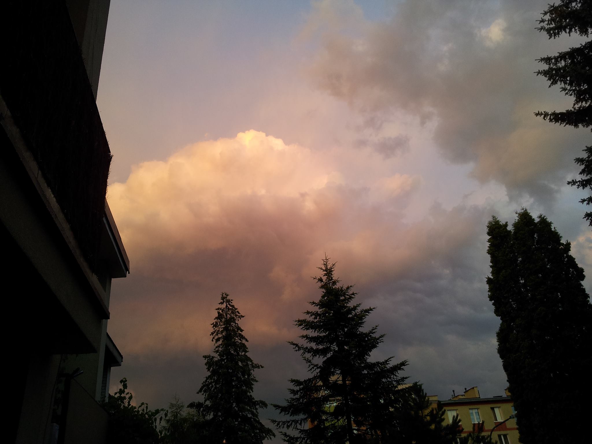 Fot. Jolanta Witusińska-Lachowicz