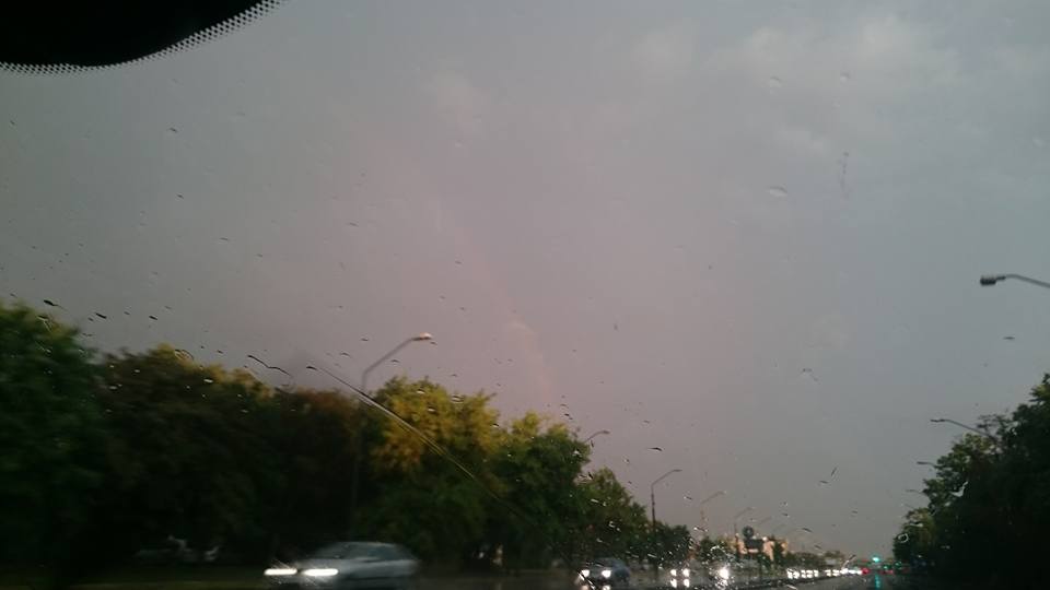 Fot. Marta Pürschel-Wysocka