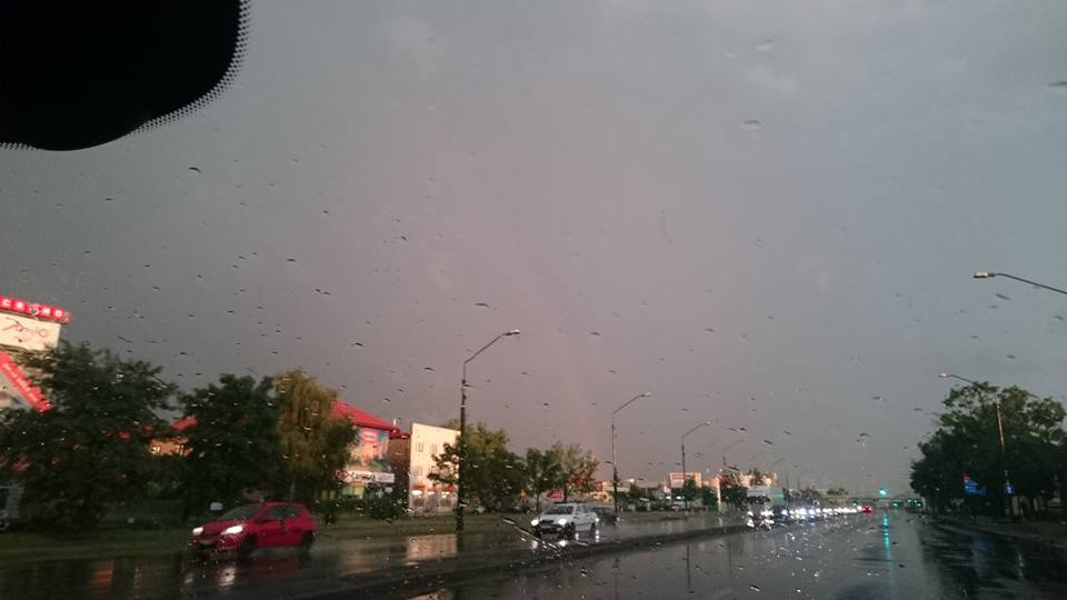 Fot. Marta Pürschel-Wysocka