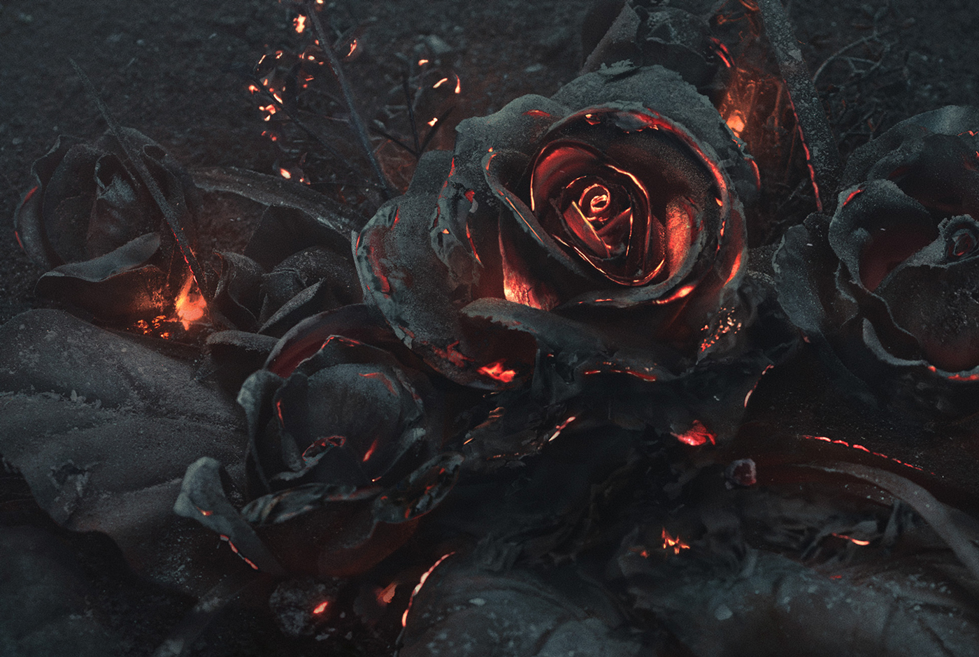 Róże z popiołem. Fot. Ars Thanea