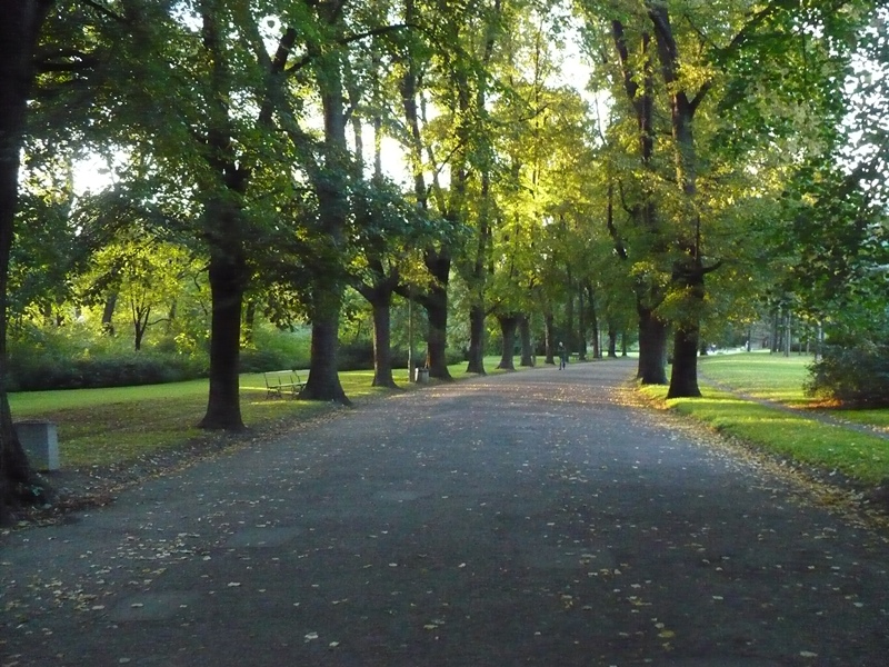 Aleja w Parku Skaryszewskim. Fot. Warszawa Wikia