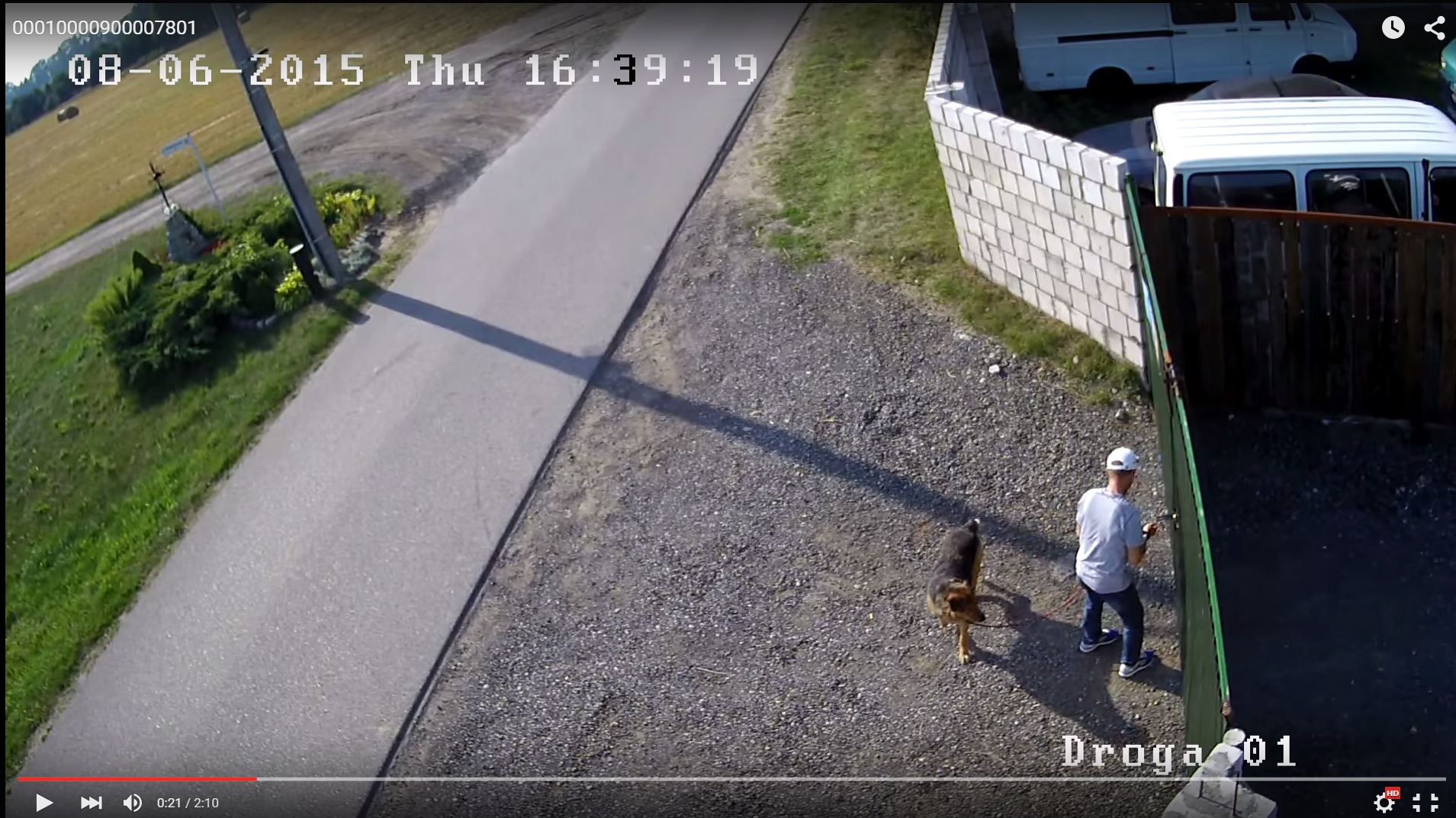 Fot. Schronisko Soniczkowo