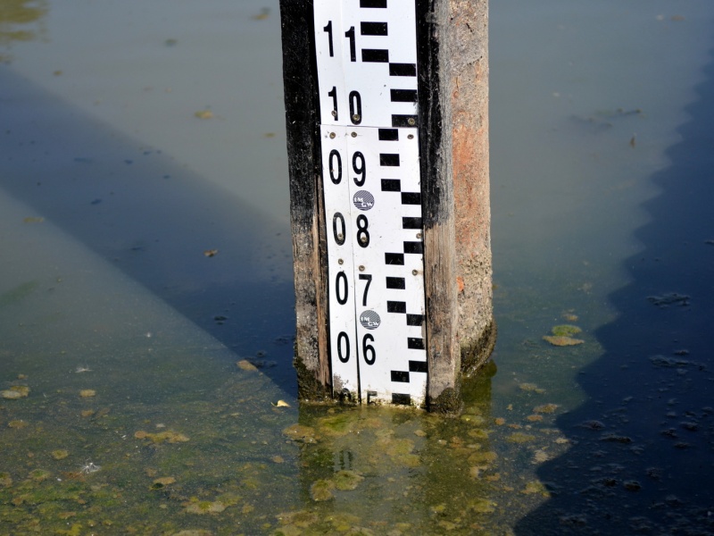 fot. Rekordowo niski poziom wody w Wiśle.Fot. R.Motyl UM Warszawa