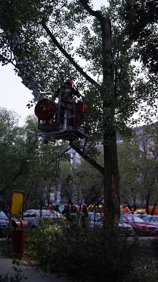 fot. Emilion Dudziński