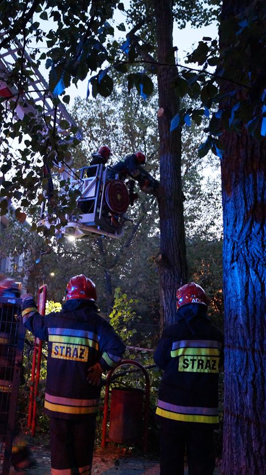 fot. Emilion Dudziński