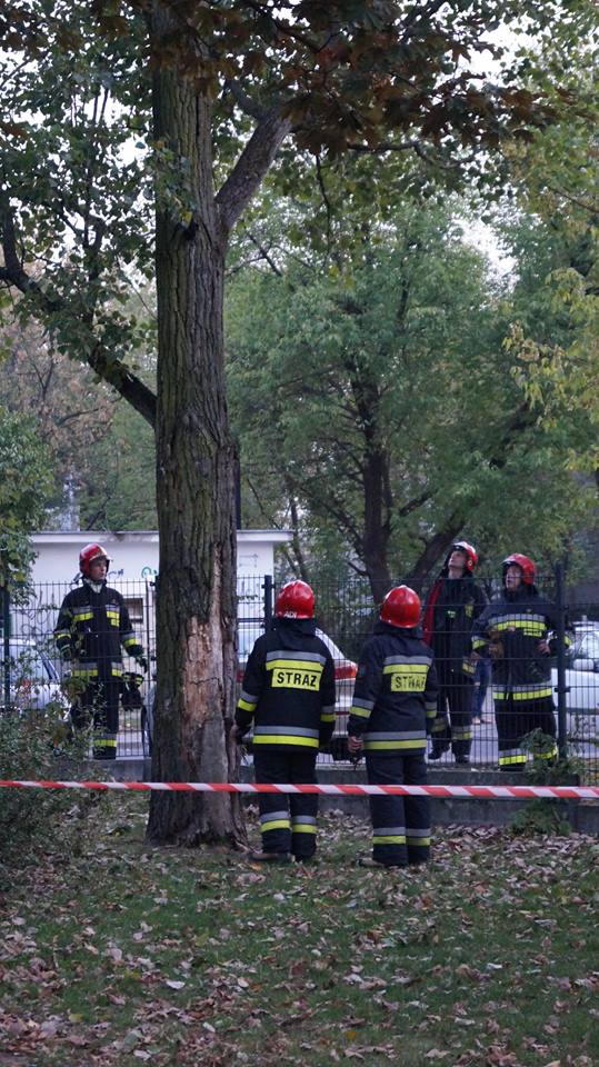 fot. Emilion Dudziński