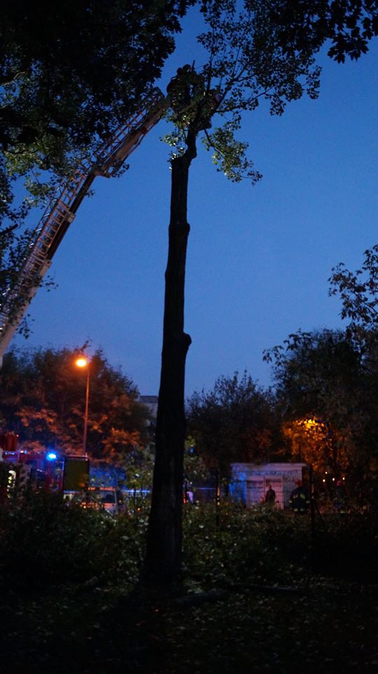 fot. Emilion Dudziński