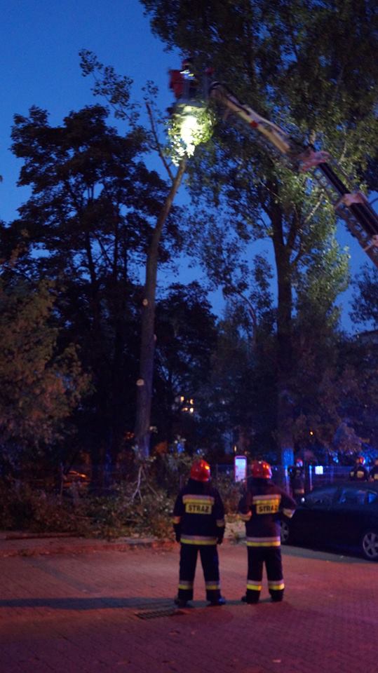 fot. Emilion Dudziński