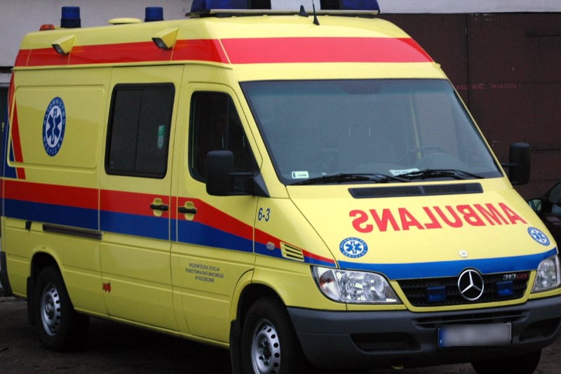 Fot. Wikipedia Commons