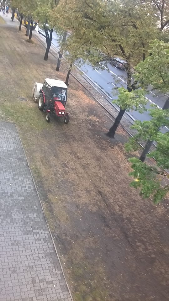 Fot:.Monika Sylwia Waśkiewicz/Facebook