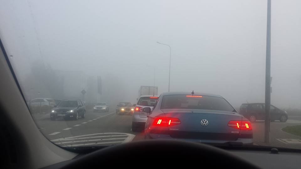 Fot. Milena Malewicz / grupa dyskusyjna Łomianki