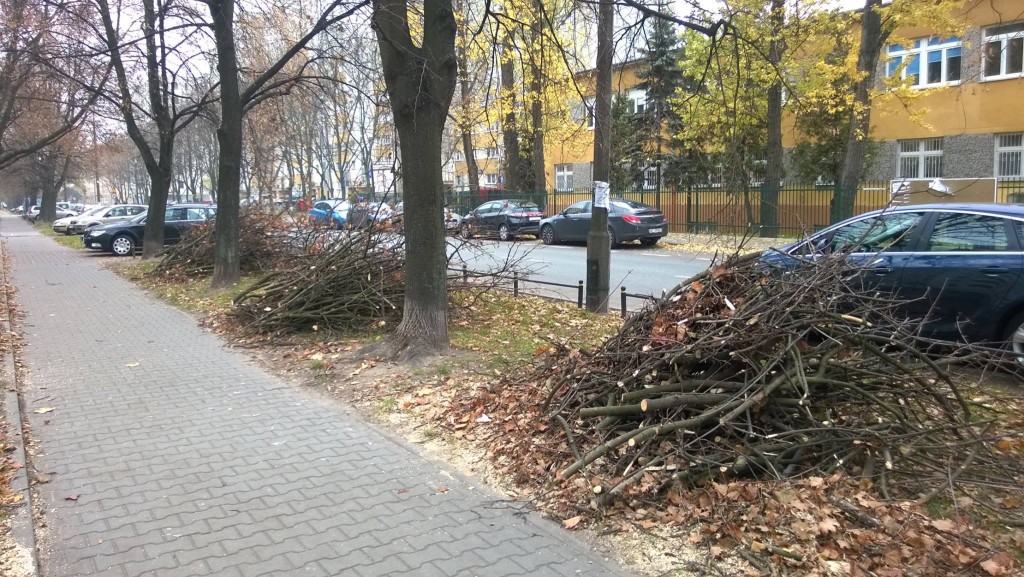 fot. Miasto Stołeczne Warszawa
