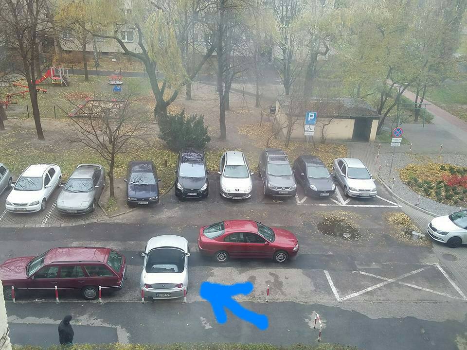 fot. Anna Gruz Taka sytuacja :-)