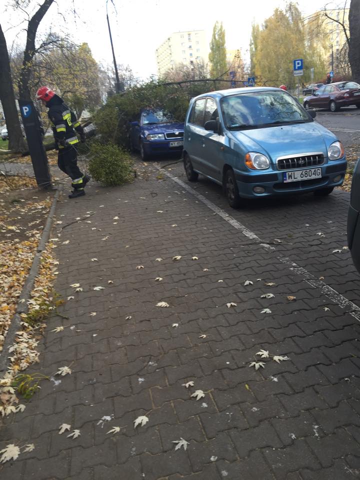 Fot. Czytelniczka Agata