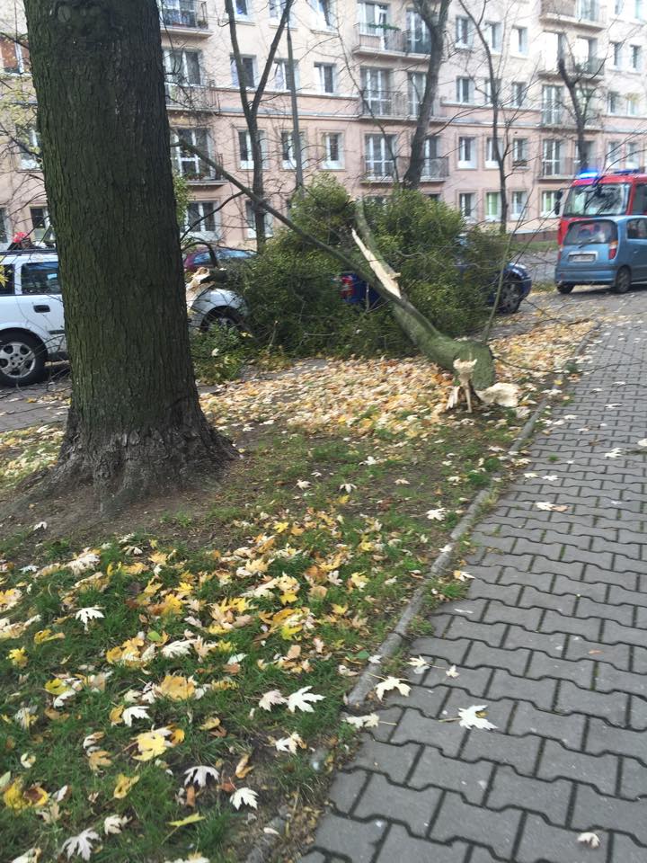 Fot. Czytelniczka Agata