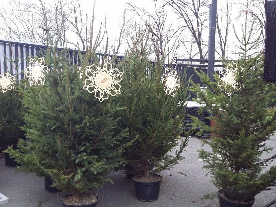 fot. Miasto Stołeczne Warszawa