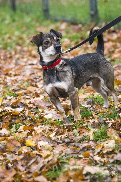 fot. Dorota Gorczyca-Woźniak