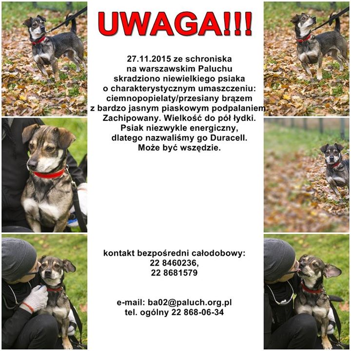 fot. Dorota Gorczyca-Woźniak