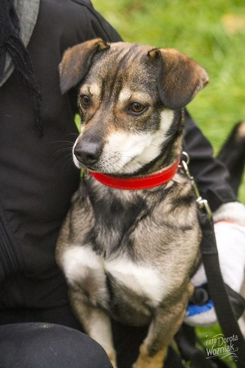 12321281_10205126780545345_3462355389258816980_n