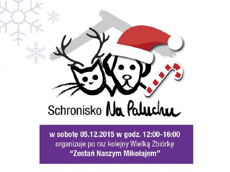 Fot. Schronisko na Paluchu