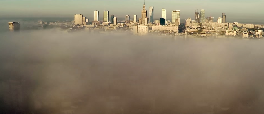 Kadr z filmu "Rat in Town"