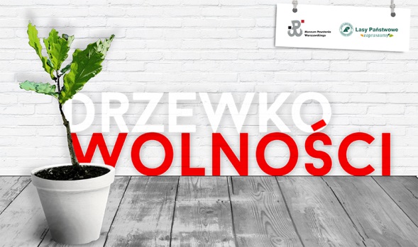 Fot. Muzeum Powstania Warszawskiego