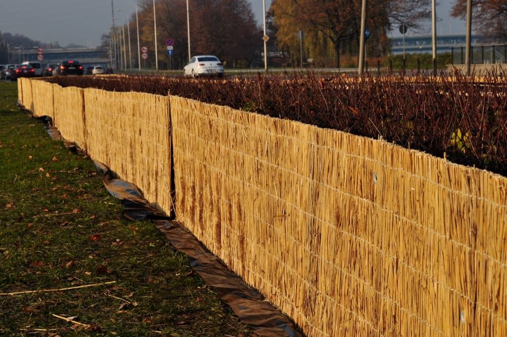 Maty chroniące krzewy przy Wisłostradzie mają długość 4 km
