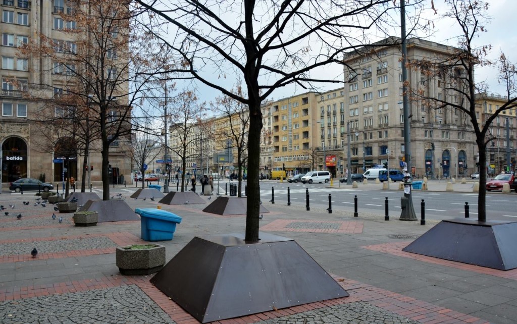 W sumie w ten sposób zabezpieczonych będzie 51 drzew