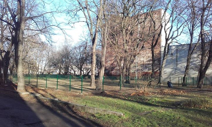 fot. Towarzystwo Przyjaciół Pragi