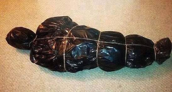 12495175_1093948910657724_7751862339642223444_n