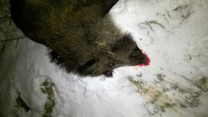 Fot. Stowarzyszenie Mieszkańców Miasteczka Wilanów